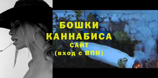 прущие грибы Медногорск