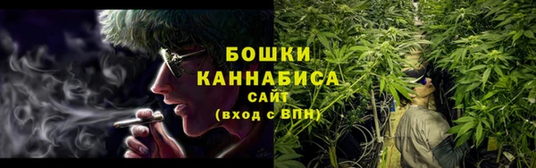 ПСИЛОЦИБИНОВЫЕ ГРИБЫ Приозерск