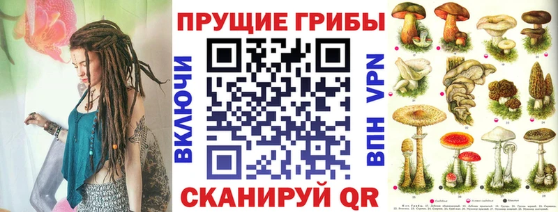 Псилоцибиновые грибы Cubensis  Свободный 